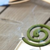 夏の害虫、駆除&予防