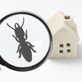 遺品整理に伴う害虫駆除について
