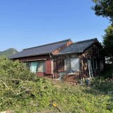 愛知県蒲郡市にて植木の伐採作業